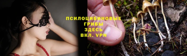 а пвп мука Алзамай