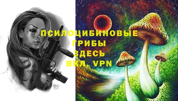 а пвп мука Алзамай